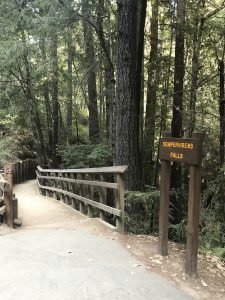 Sempervirens Falls sign at Big Basin Park California