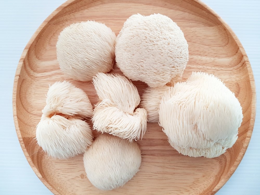 lions_mane_mushroom-benefits-absolutely_adell