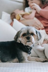 Am I A Bad Mom For Switching to Formula? Absolutely Adell