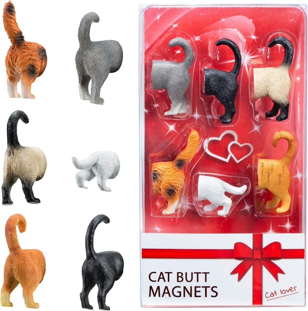 10 Best Valentines Day Gifts for Cat Lovers! - HER Lifestyle Magazine