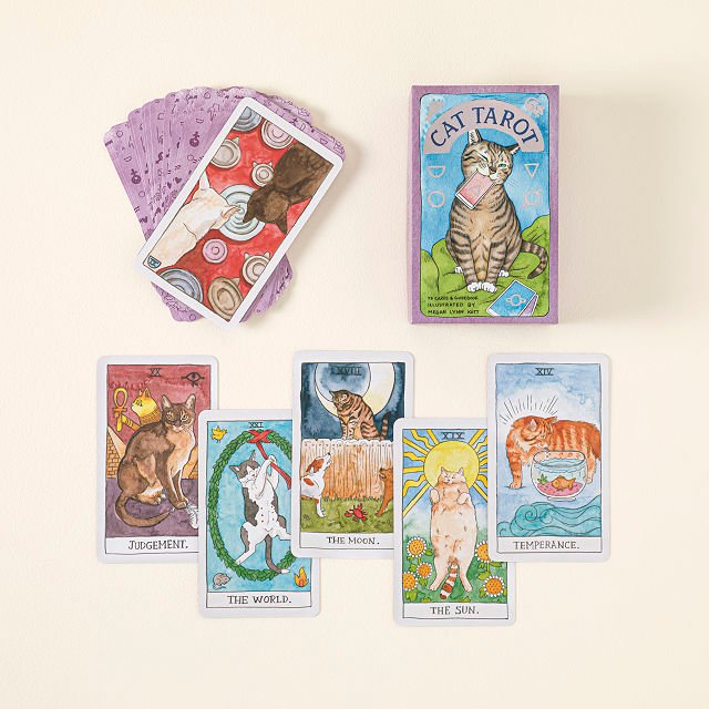 13 Best Tarot Cards for Beginners! - Her Lifestyle Magazine