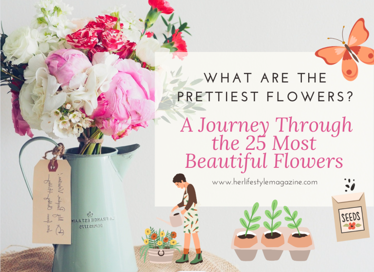 What Are the Prettiest Flowers: A Journey Through the 25 Most Beautiful Flowers - Her Lifestyle Magazine - Adell Figueira-Hellstrom