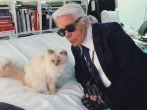 50+ Famous Cat Names: Famous Cats from Around The World! Her Lifestyle Magazine, Adell Figueira-Hellstrom
